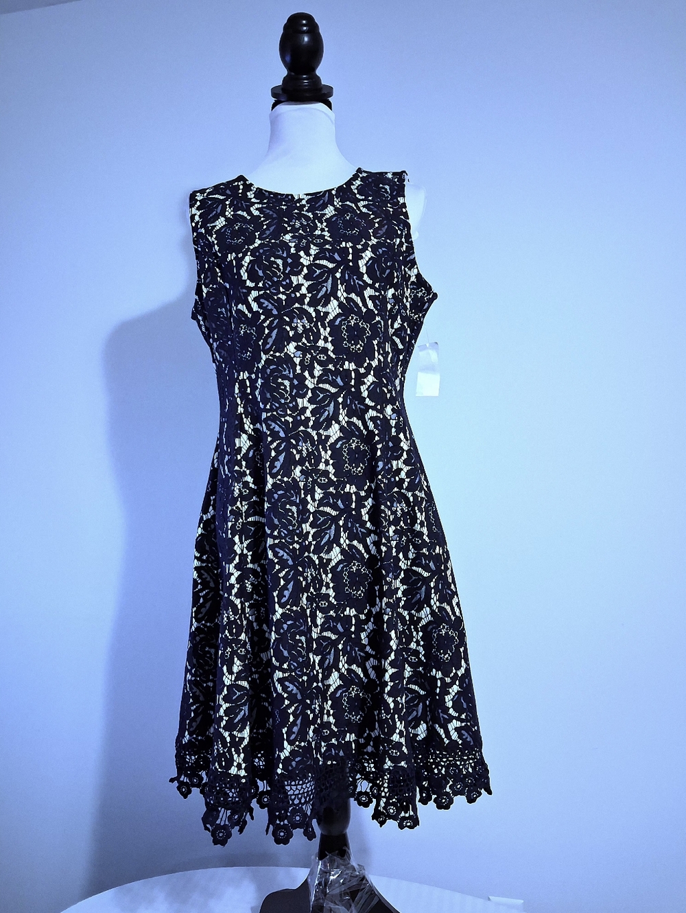 Donna Ricco Navy Lace Midi Dress with Ivory Underlay Size 14